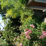 Apartament Appartement-reiteralm