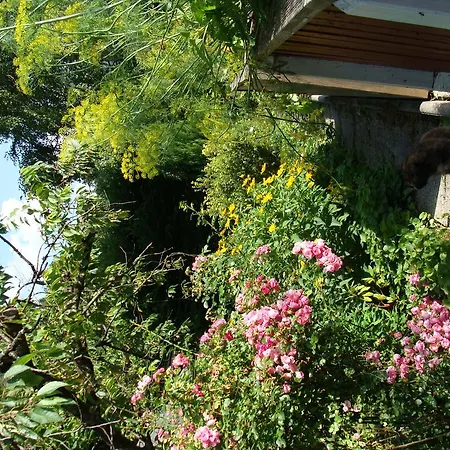 Apartmán Appartement-reiteralm